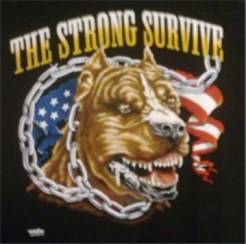 Pit Bull Motiv: The Strong Survive