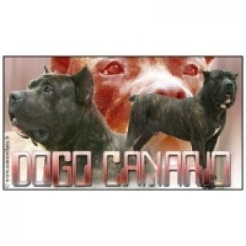 Aufkleber Dogo Canario / Alano 1