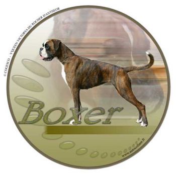 Aufkleber Deutscher Boxer Hund 2 gestromt