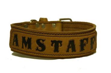 American Staffordshire Terrier - Am Staff Halsband Lederhalsband