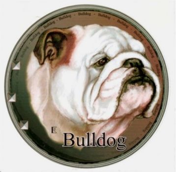 Aufkleber Englische Bulldogge 3