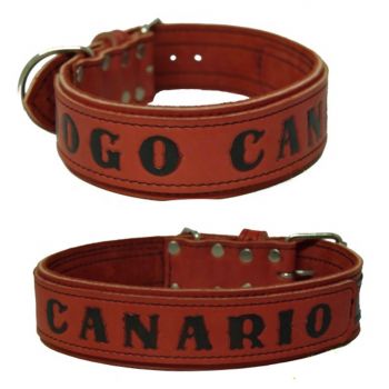 Dogo Canario Leder Halsband  5 cm breit