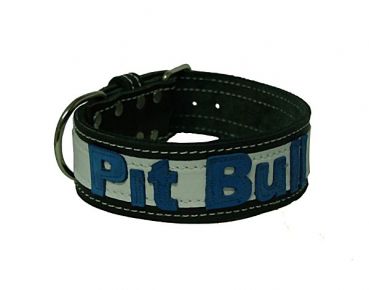 Pit Bull Halsband Leder  5 cm breit