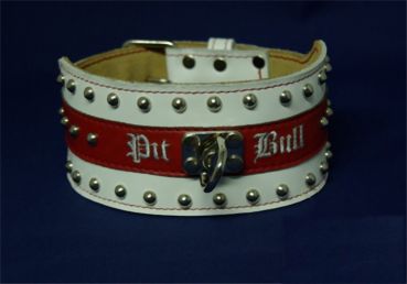 Pit Bull Rundkopfnieten Nieten Halsband Leder 8 cm breit