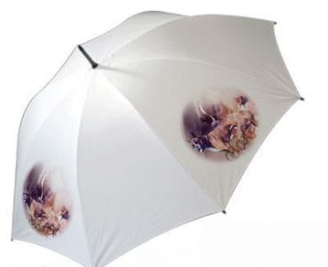 Regenschirm Motiv Deutscher Boxer Hund 1 kupiert