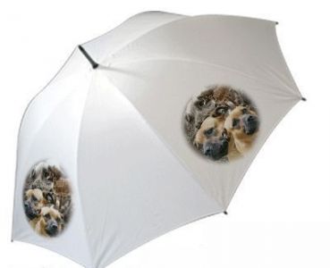 Regenschirm Motiv Staffordshire Bullterrier 1 braun