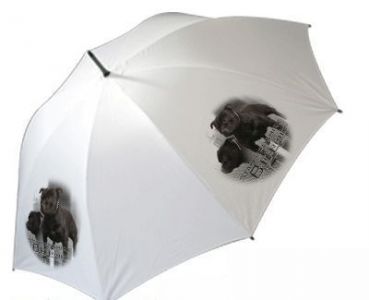 Regenschirm Motiv Staffordshire Bullterrier 2 schwarz
