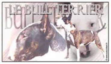 Aufkleber Bullterrier 1