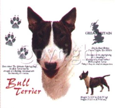 Motiv Bull Terrier 4