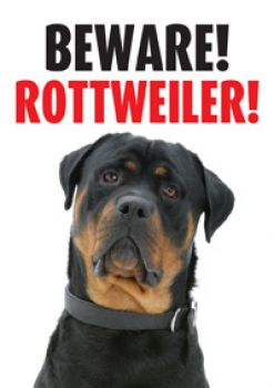 Warnschild Beware! Rottweiler