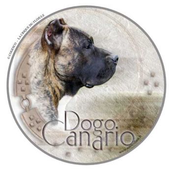 Aufkleber Dogo Canario / Alano 2