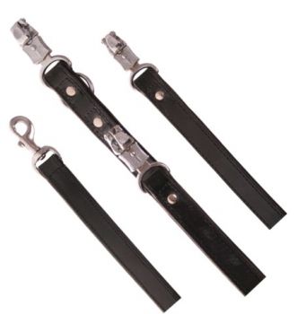 Extra breite Lederleine 2,5 cm breit schwarz silber