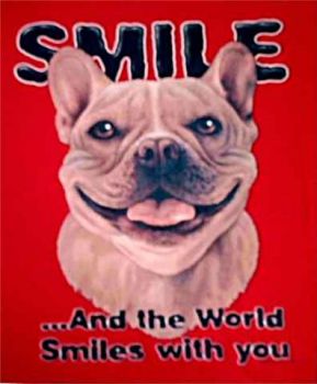 Motiv Franzoesische Bulldogge Smile