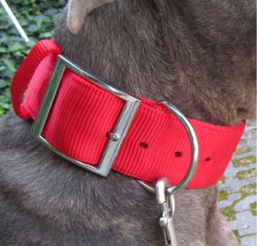 Nylonhalsband Rot Deutsche Bordeaux Dogge Cane Corso Pit Bull Bulldog Halsband