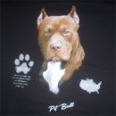 American Pit Bull Terrier Red Nose
