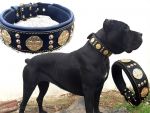 Maximus Molosser Halsband 6,5cm breit Cane Corso Dogo Rottweiler Dogge Bulldog