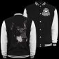 Preview: Baseballjacke Dobermann BOSS Kapuzenjacke