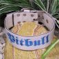 Preview: Nylonhalsband Pitbull 5 cm breit