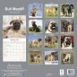 Preview: Kalender 2023 Bull Mastiff