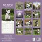 Preview: Kalender 2023 Bullterrier