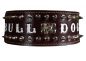 Preview: Bulldog Spitzkopfnieten Nieten Halsband Leder 8 cm breit