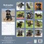 Preview: Kalender 2023 Rottweiler