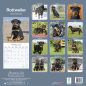 Preview: Kalender 2023 Rottweiler
