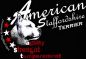 Preview: American Staffordshire Terrier T-Shirt Motiv AST