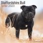 Preview: Kalender 2023 Staffordshire Bullterrier