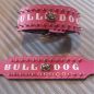 Preview: Bulldog Spitzkopfnieten Nieten Halsband Leder 8 cm breit - Kopie