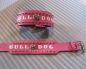 Preview: Bulldog Spitzkopfnieten Nieten Halsband PINK Leder 8 cm breit