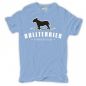 Preview: Männer T-Shirt Bullterrier - Familie ist alles