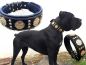 Preview: Maximus Molosser Halsband 6,5cm breit Cane Corso Dogo Rottweiler Dogge Bulldog