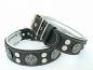 Preview: Hektor Molosser Halsband 6,5cm breit Fila Dogo Rottweiler Dogge Bulldog Mastiff