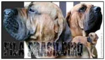 Aufkleber Fila Brasileiro