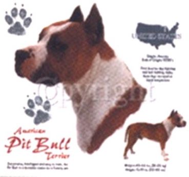 Motiv American Pit Bull Terrier 4