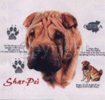 Motiv Shar Pei 4