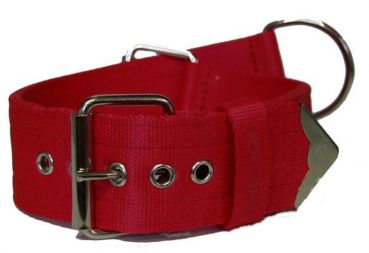 American Bully Leder Hundehalsband Luxus Hundehalsband Bully - .de