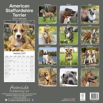 Kalender 2023 American Staffordshire Terrier