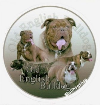 Aufkleber Olde English Bulldogge / OEB