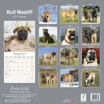 Kalender 2023 Bull Mastiff