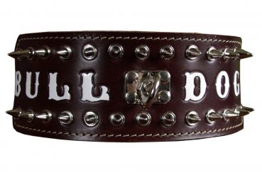Bulldog Spitzkopfnieten Nieten Halsband Leder 8 cm breit