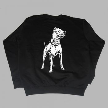 Dogo Argentino Motiv 5
