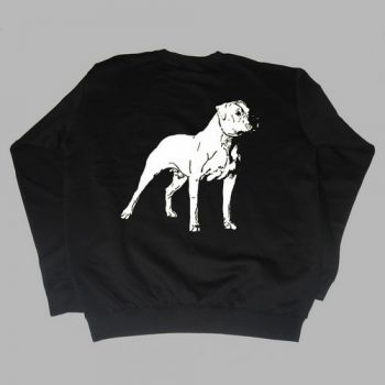 Dogo Argentino Motiv 7
