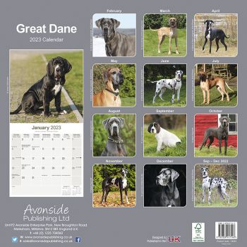 Kalender 2023 Deutsche Dogge Great Dane unkupiert (Euro)