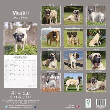 Kalender 2023 Mastiff