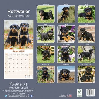 Kalender 2023 Rottweiler Welpen