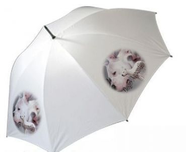 Regenschirm Motiv Dogo Argentino 1