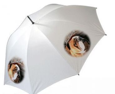Regenschirm Motiv Englische Bulldogge 1