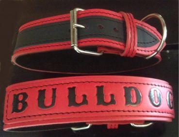Bulldog Halsband Leder 5 cm breit